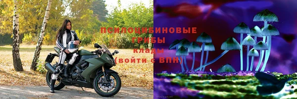 прущая мука Алзамай