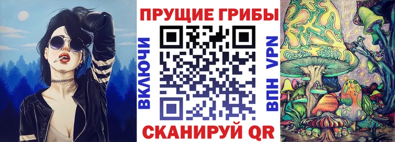 купить закладку  Ирбит  Галлюциногенные грибы GOLDEN TEACHER 