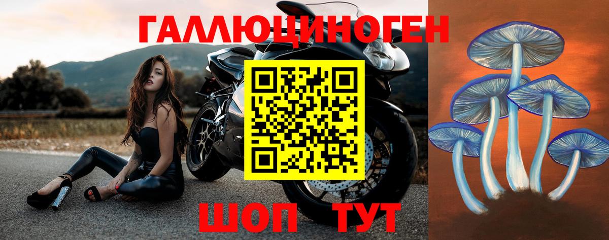 Псилоцибиновые грибы MAGIC MUSHROOMS Ирбит